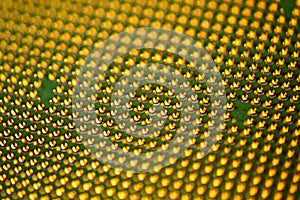 Pins of central processor unit. CPU close-up. Bottom side