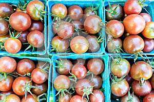 Organic black cherry tomatoes at a Farmer`s Market