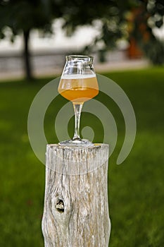 pint beer lager on a wooden log in the pub beer garden pub. Vertical view.