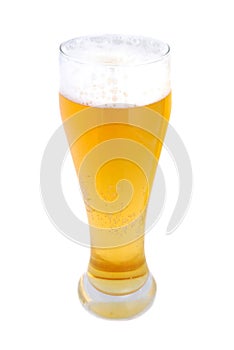 Pint of lager