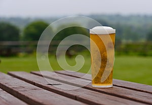 Pint of lager on table