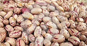 Pinto beans photo