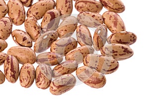 Pinto Beans