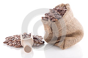 Pinto beans bag