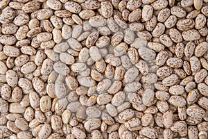 Pinto Beans Close Up Top view, Food Background, Dried Beans, Legume Family
