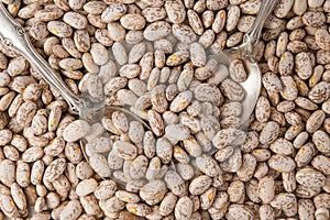 Pinto Beans Close Up Top view, Food Background, Dried Beans, Legume Family