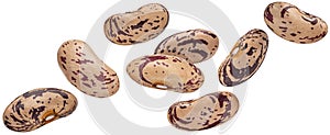 Pinto beans isolated on white background