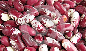 Pinto beans multicolor