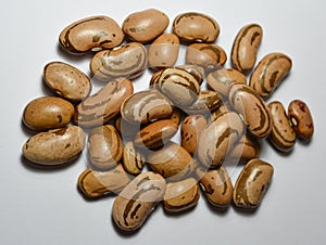 Pinto beans - Phaseolus vulgaris