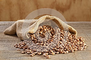 Pinto Beans in Sack photo