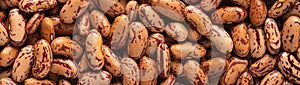 Pinto spotted bean closeup banner panoramic