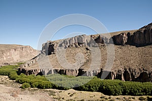 Pinturas River Canyon viewed from the Cave of the Hands - Argentina photo