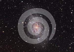 Pinwheel Galaxy - Triagulum