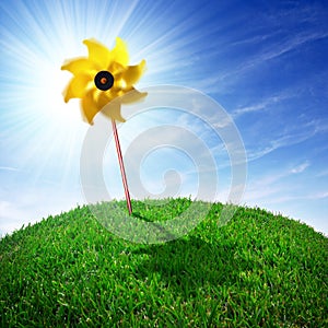 Pinwheel on Grass