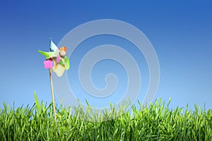 Pinwheel on the grass