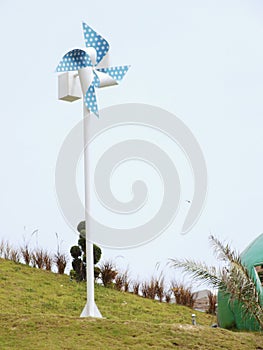 pinwheel on the meadow at sunny day in the park