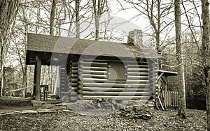 Pioneer Log Cabin