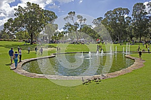 People and wild ducks around pool and fountains of Pioneer Women`s Memorial at King`s Park & Botanic Garden in Perth, Australia.