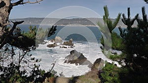 Piont Lobos view thru pinescenic landscapes of Big Sur coast of the pacific ocean