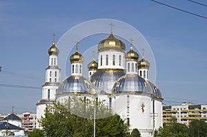 Piously - the Voskresensky orthodox temple. Brest. Belarus photo