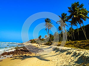 Pipa Beach in Brazil