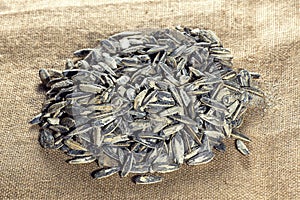 Pipas salted sunflower photo