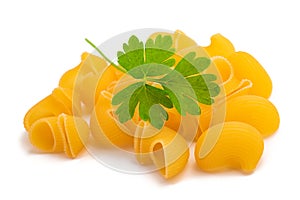 Pipe rigate  pasta with parsley