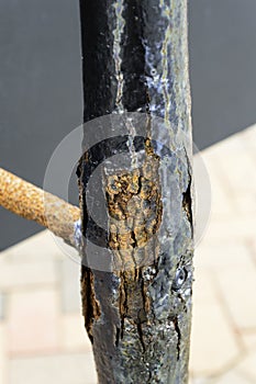 Pipe rust cracks