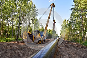 Pipelayer with side boom Installation of  gas and crude oil pipes in ground. Construction of the gas pipes to new LNG plant