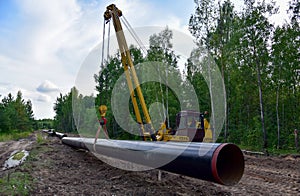 Pipelayer with side boom Installation of  gas and crude oil pipes in ground. Construction of the gas pipes to new LNG plant