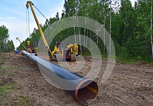 Pipelayer with side boom Installation of  gas and crude oil pipes in ground. Construction of the gas pipes to new LNG plant. Soft