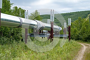 Pipeline in Alaska