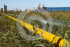 Pipeline and storage tanks