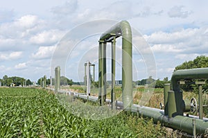 Pipelines through a field