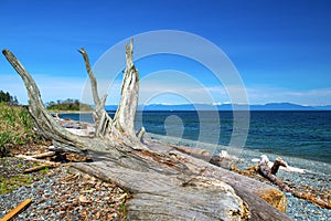 Piper`s Lagoon Park in Nanaimo, British Columbia