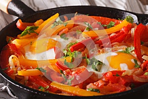 Piperrada: peppers with fried eggs on the pan macro. horizontal