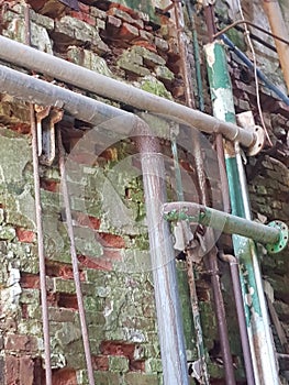 Moss at the old brick wall