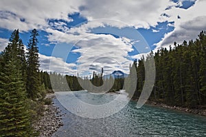 Pipestone River near Lake Louise - Banff