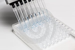 Pipette depositing samples into a 96 well micro-plate photo