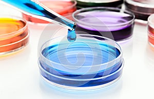 Pipette with drop of liquid and petri dishes