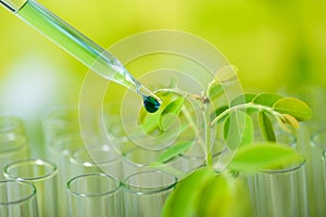 pipette dropping green sample chemical over young sample plant growing in test tube , biotechnology research concept