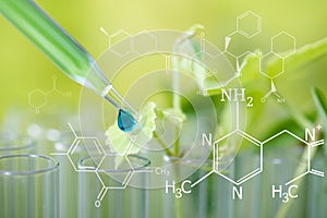 pipette dropping green sample chemical over young sample plant growing in test tube , biotechnology research concept