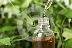 Pipette with essential oil over bottle on blurred background. Space for text