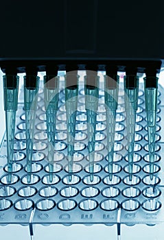 Pipetting samples in a plate photo