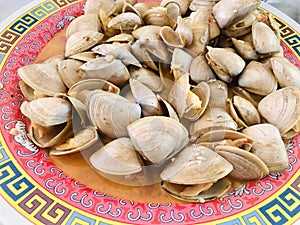 Pipis seafood in round plate.