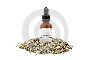 Pipsissewa herbal tincture and dried herb