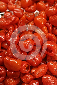 Piquante Peppers