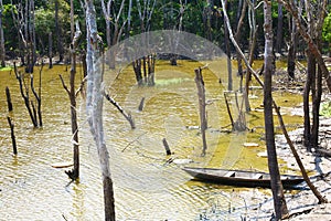 Piragua & lagoon in Amazon river, Brazil photo