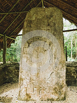 Estelas  in the arqueological zone of Coba photo