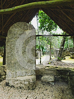 Estelas  in the arqueological zone of Coba photo